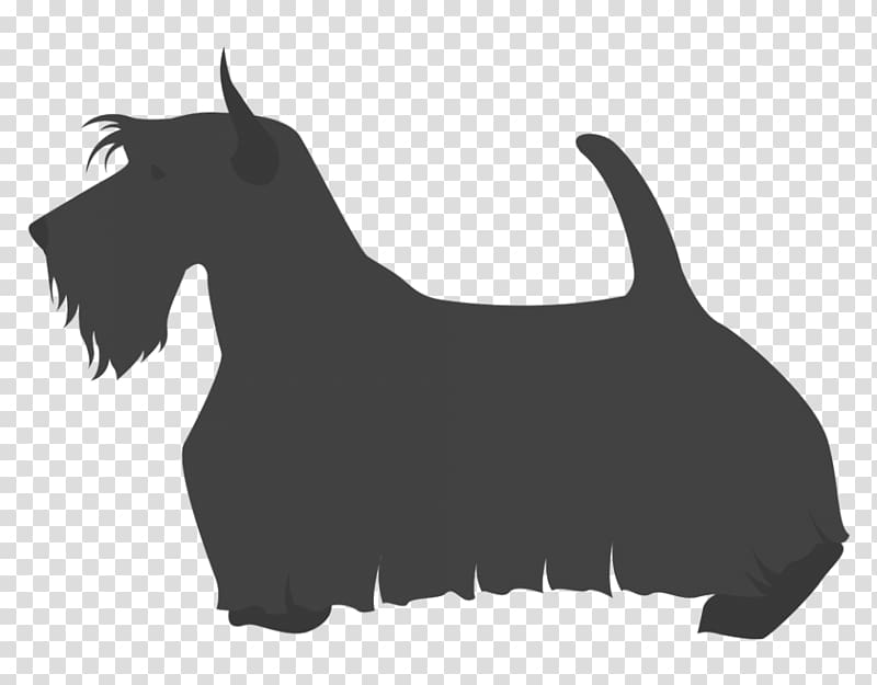 Scottish Terrier Cesky Terrier Welsh Terrier Dog breed Pekingese, Terrier transparent background PNG clipart