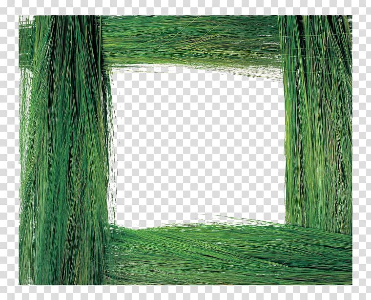 Grass frame Plant, Green Frame transparent background PNG clipart