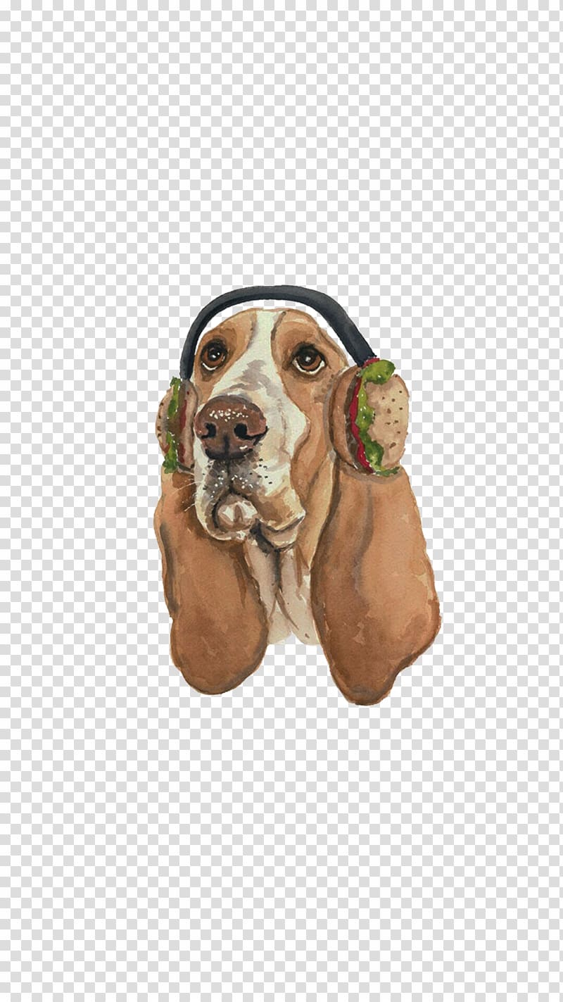 Basset Hound Italian Greyhound Puppy Cat Cuteness, Puppy listening to music transparent background PNG clipart