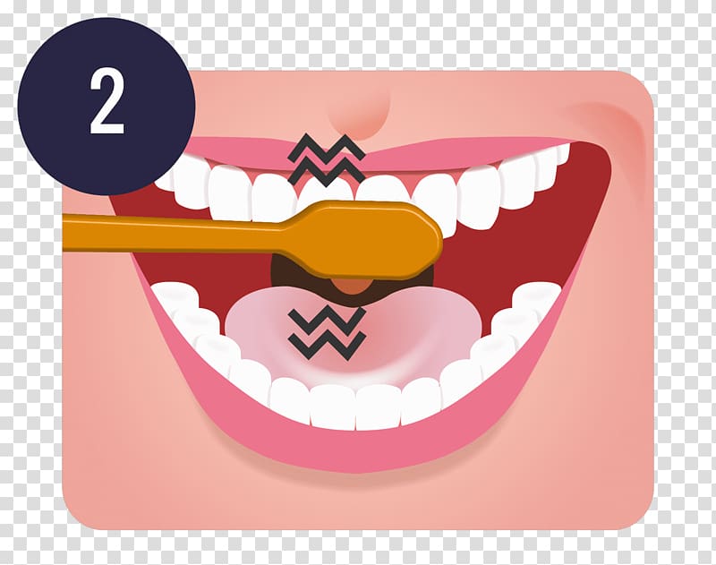 Tooth brushing Teeth cleaning Dentistry Oral hygiene, teeth transparent background PNG clipart