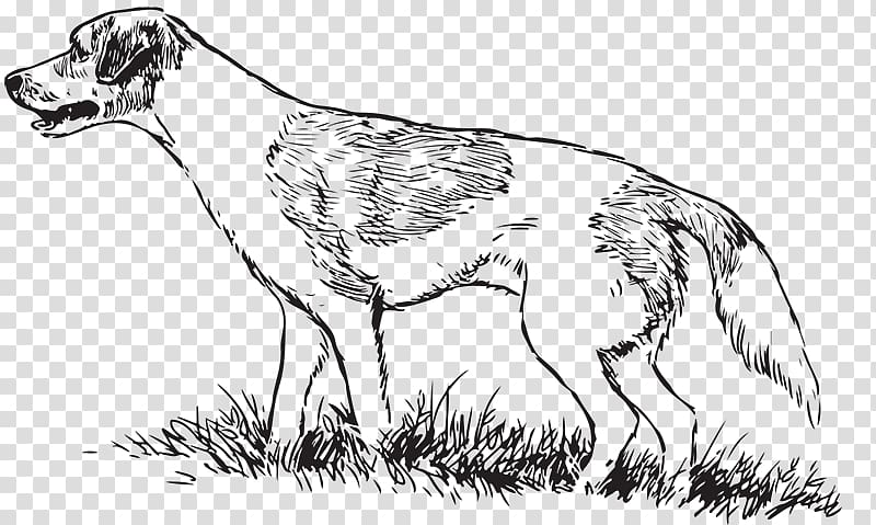 Dog breed Greyhound Hunting dog Drawing, Boar Hunting transparent background PNG clipart