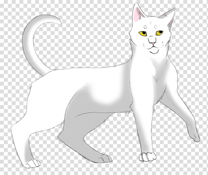 Cat Into the Wild Warriors Whitestorm Kitten, lithe transparent background PNG clipart