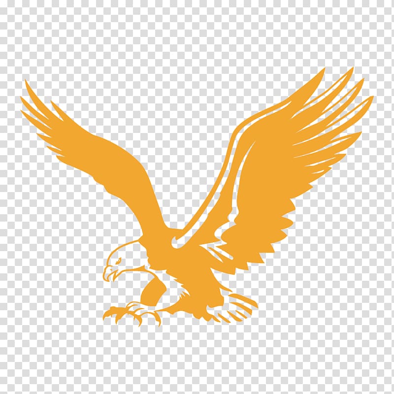 Bald eagle Hotel Company Business Government, American Flyer transparent background PNG clipart