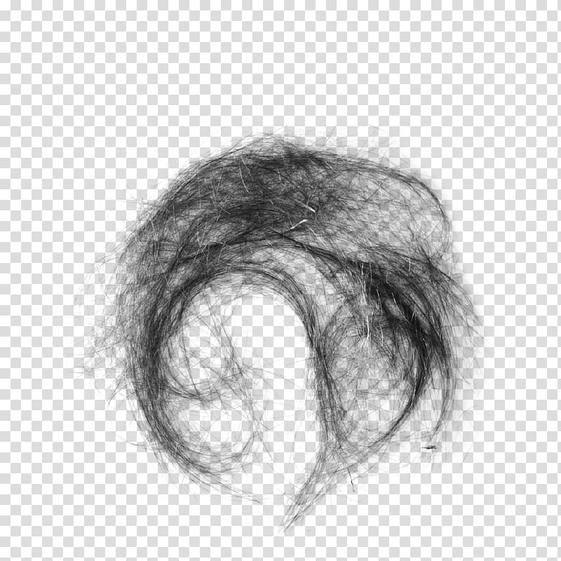 Hair Capelli, Real hair transparent background PNG clipart