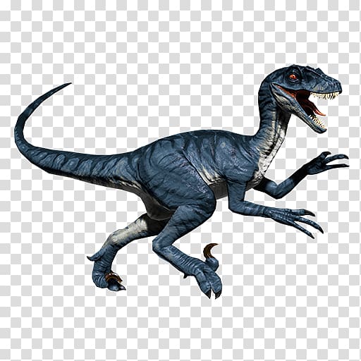 Velociraptor Primal Carnage: Extinction Tyrannosaurus Spinosaurus, dinosaur transparent background PNG clipart