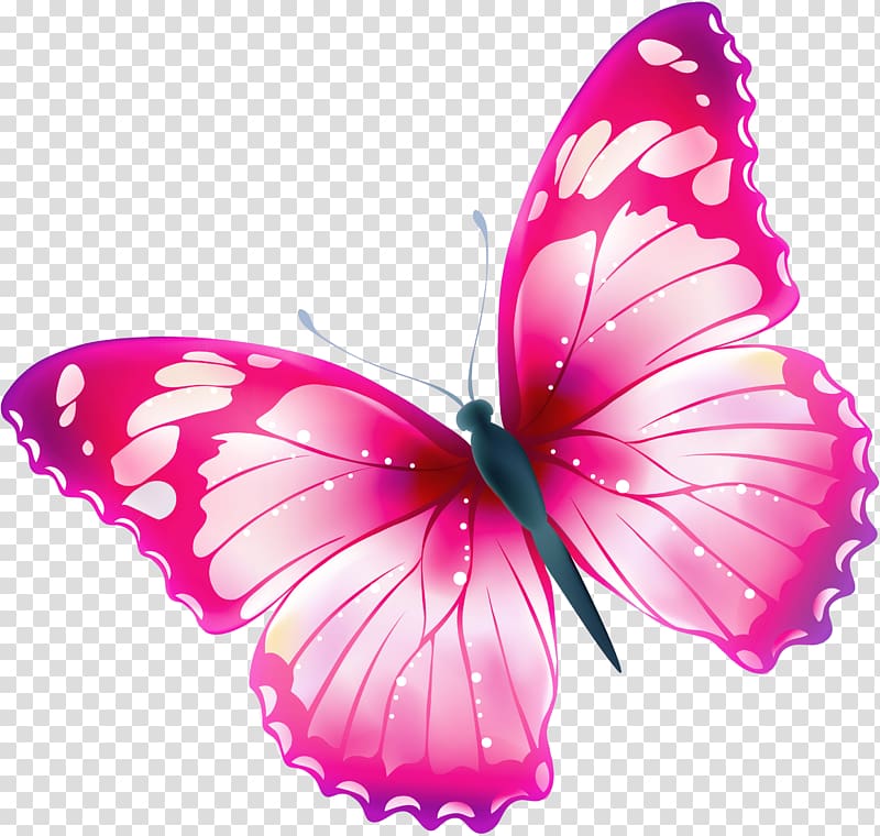 pink and white butterfly wallpaper