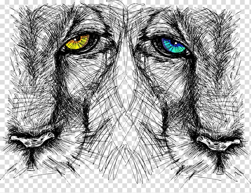 Lion Drawing, Lions Head transparent background PNG clipart