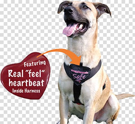 Dog breed Dog harness Leash Puppy, Dog transparent background PNG clipart