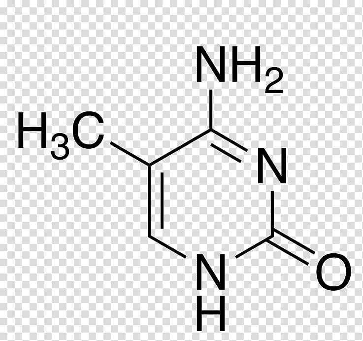 5-Methylcytosine Methylation CpG site Pyrimidine, others transparent background PNG clipart