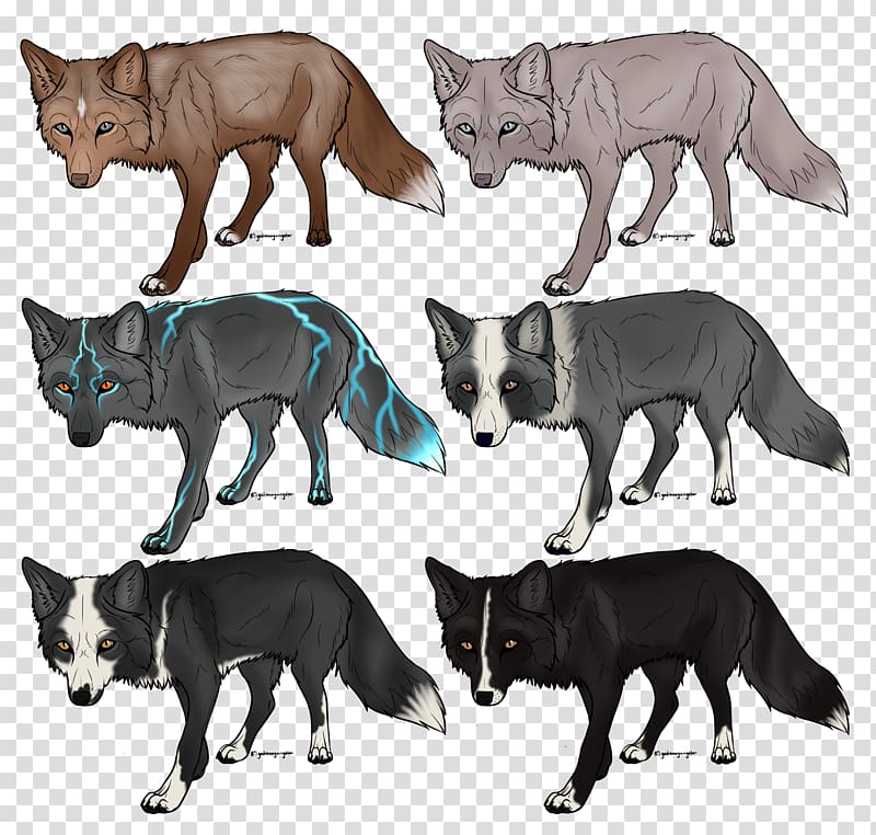 Cat Viverrids Procyonidae Canidae Dog, Cat transparent background PNG clipart
