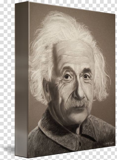 Albert Einstein Gallery wrap Portrait Nose Canvas, albert einstien transparent background PNG clipart