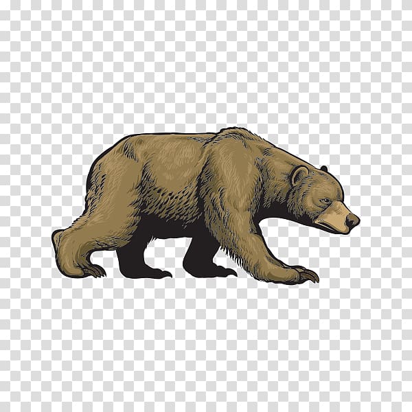 Grizzly Bear Cub Alaska Peninsula brown bear Wildlife, bear transparent background PNG clipart