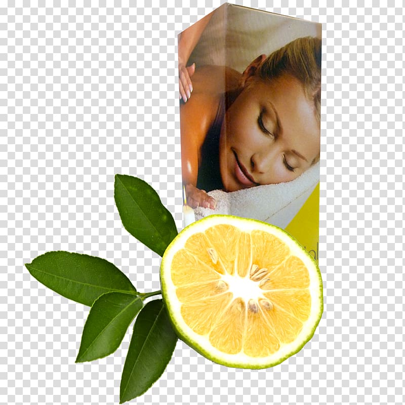 Lemon Ylang-ylang Indian sandalwood Essential oil, lemon transparent background PNG clipart
