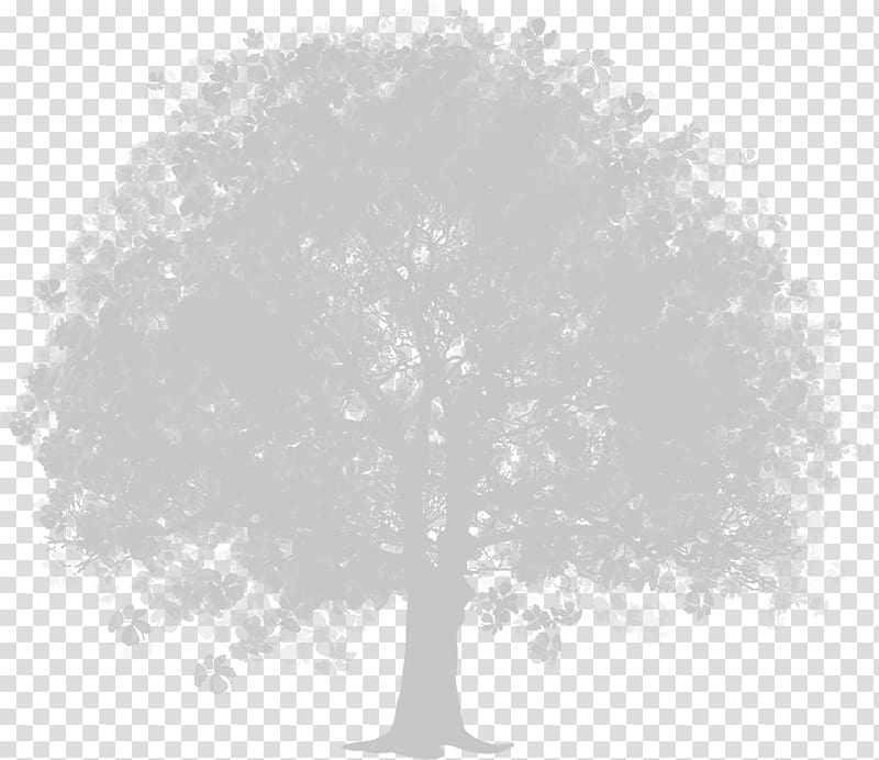 Tree , green and dark grey transparent background PNG clipart