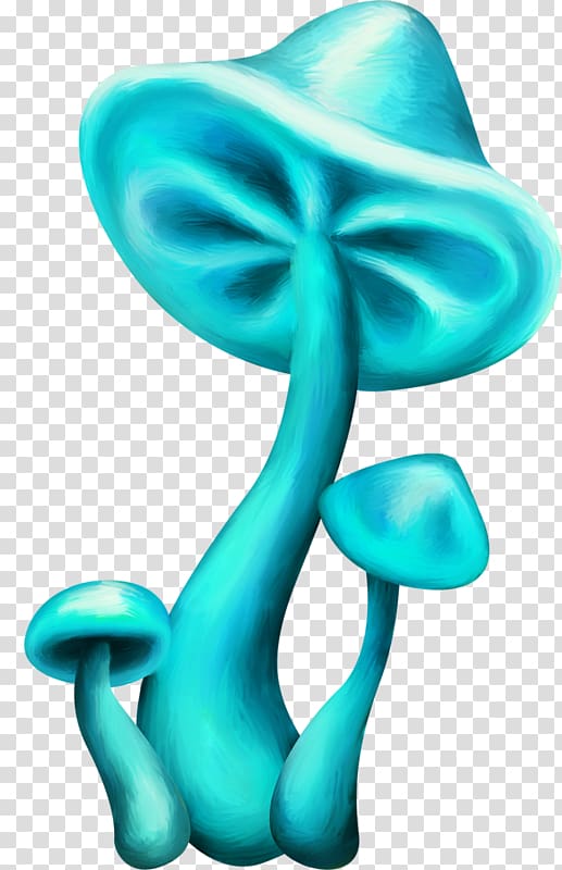 Mushroom Blue Werewere-kokako Fungus Drawing, mushroom transparent background PNG clipart