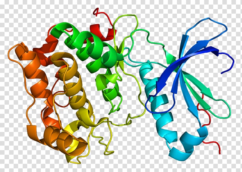 PRKCQ Protein kinase C Gene, trna transparent background PNG clipart
