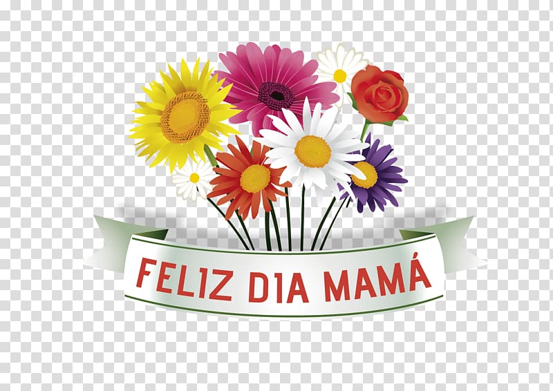 Mother's Day Transvaal daisy, Dia De La Madre transparent background PNG clipart