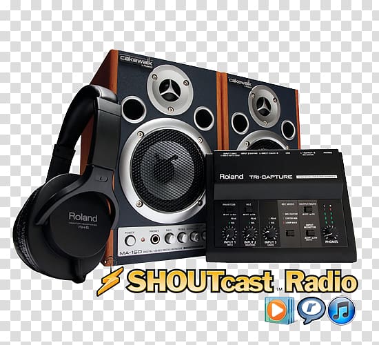 Web hosting service Streaming media Internet radio SHOUTcast Web page, email transparent background PNG clipart