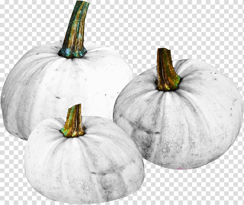 Pumpkin Calabaza Figleaf Gourd Winter squash, White pumpkin material free to pull transparent background PNG clipart
