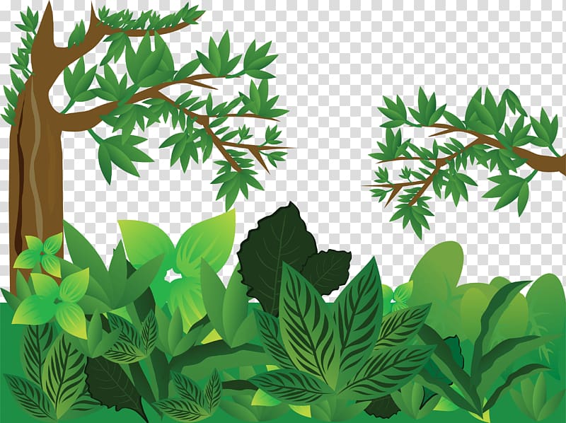 green tree and plants , Forest Tree, jungle transparent background PNG clipart