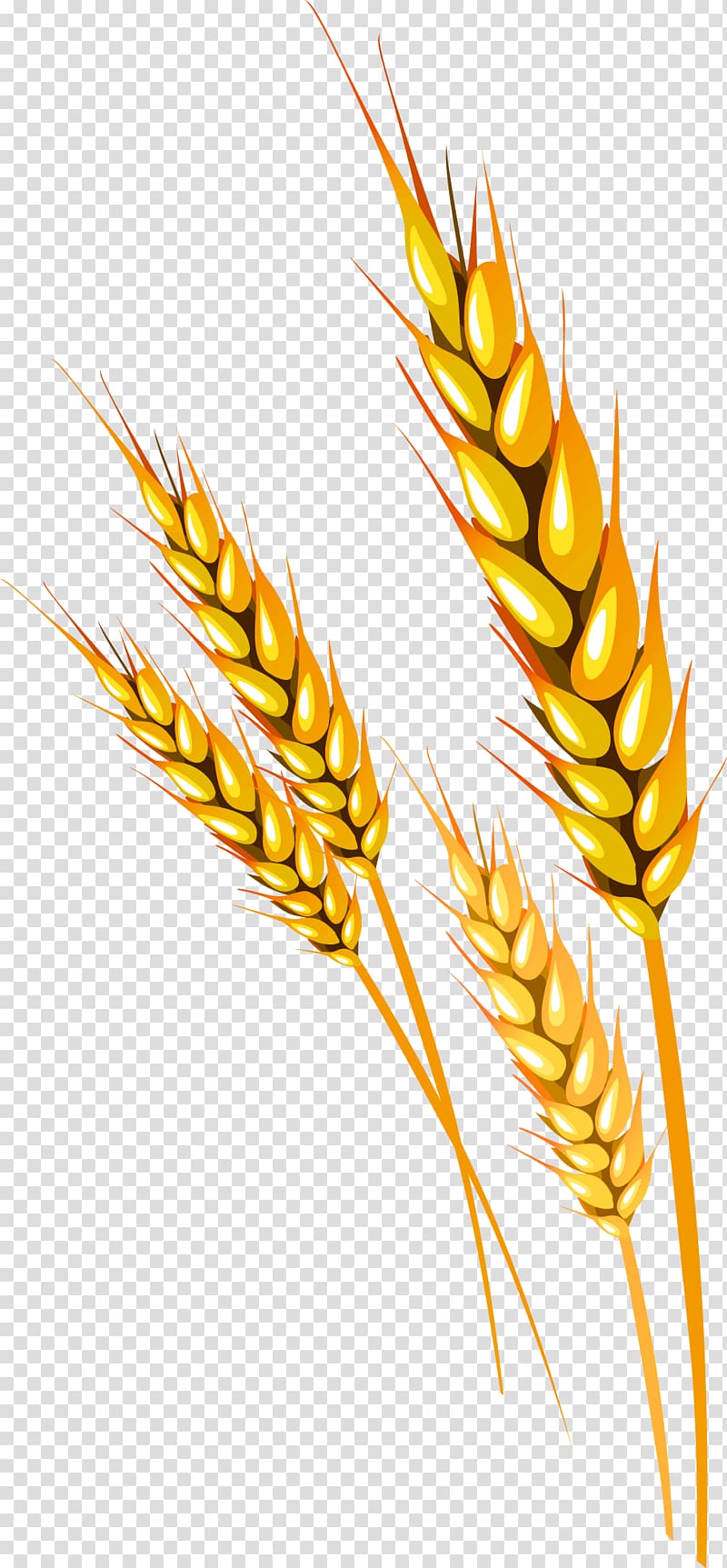 Yellow fresh rice decoration pattern transparent background PNG clipart
