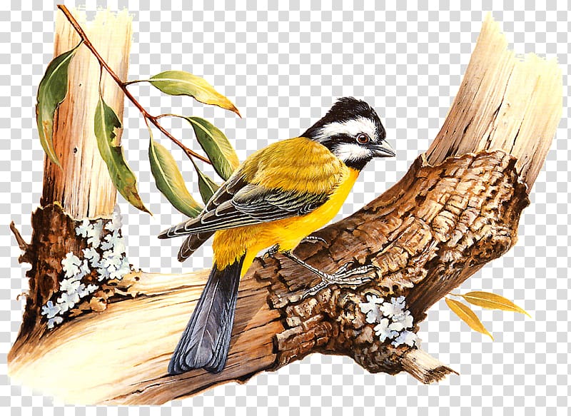 Oil painting Finches Art, painting transparent background PNG clipart