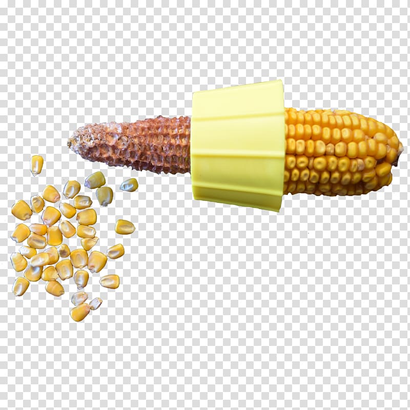 Corn on the cob Field corn Maize Corn kernel, corn kernels transparent background PNG clipart