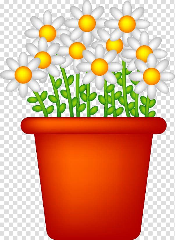 Flowerpot Illustration, Blooming white chrysanthemum material transparent background PNG clipart
