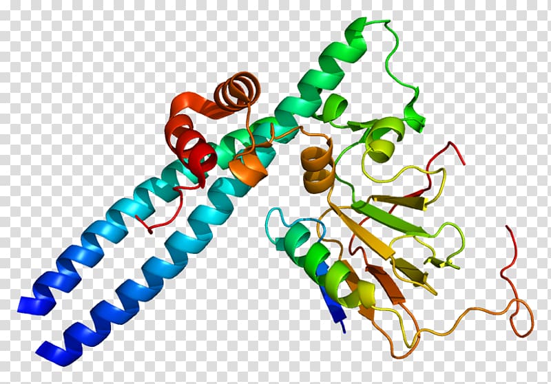 E2F1 Transcription factor Retinoblastoma protein, mito class transparent background PNG clipart