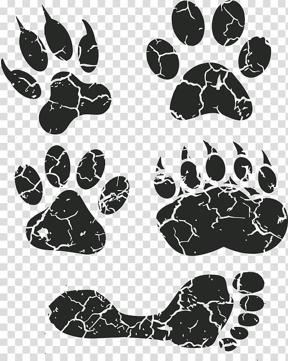 Dog Paw Footprint Animal track , Dog transparent background PNG clipart