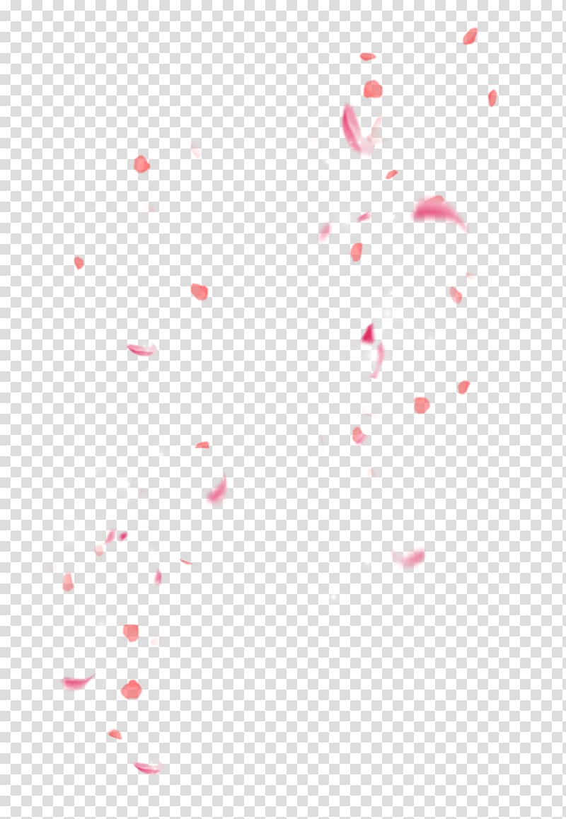 falling cherry petals transparent background PNG clipart