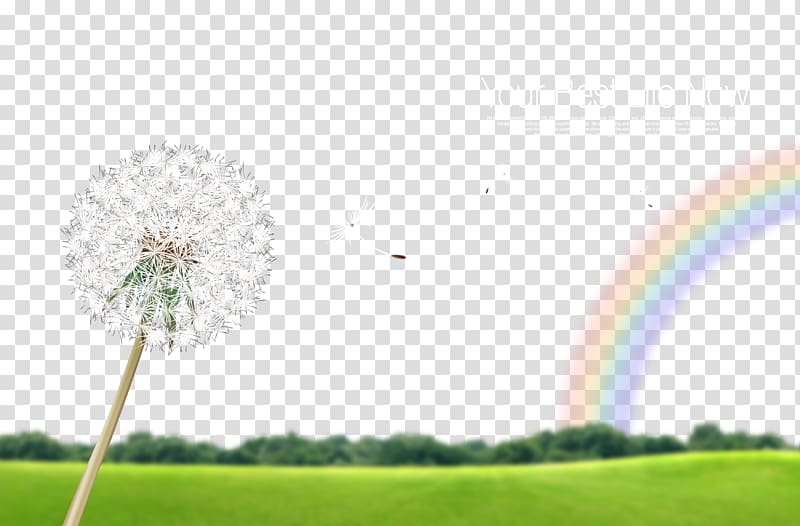 Greenland Rainbow , Rainbow Greenland transparent background PNG clipart