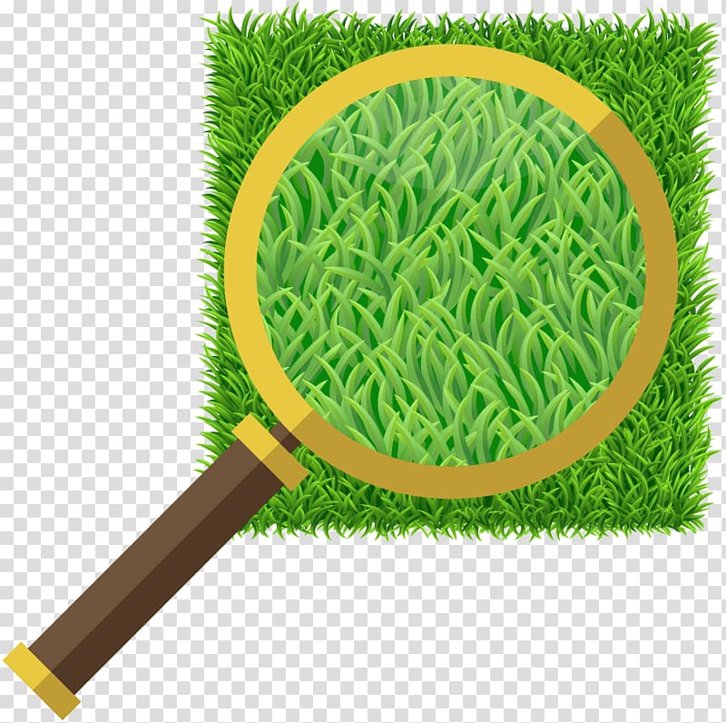 Jack\'s Turf Artificial turf Lawn Synthetic fiber Magnifying glass, turf transparent background PNG clipart