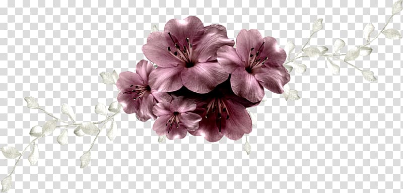 Flower , flower transparent background PNG clipart