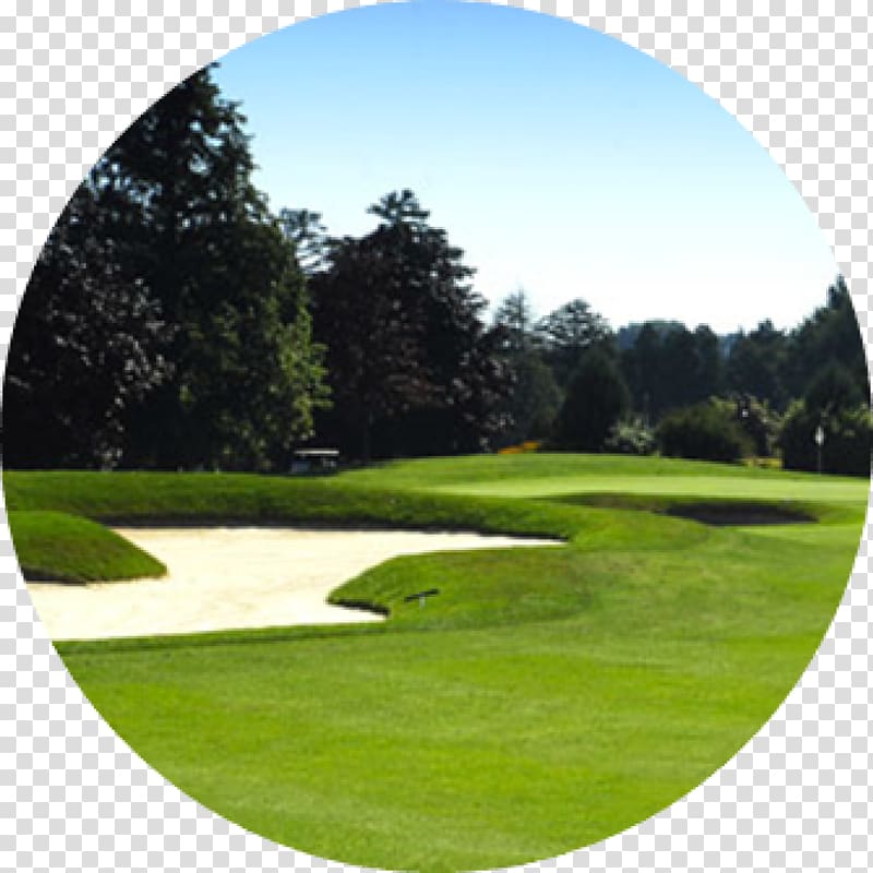 Golf course Macedonian Open Golf Clubs Republic of Macedonia, Golf transparent background PNG clipart