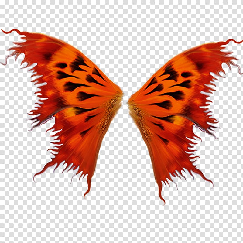 Butterfly Insect wing Moth, Red Wings transparent background PNG clipart