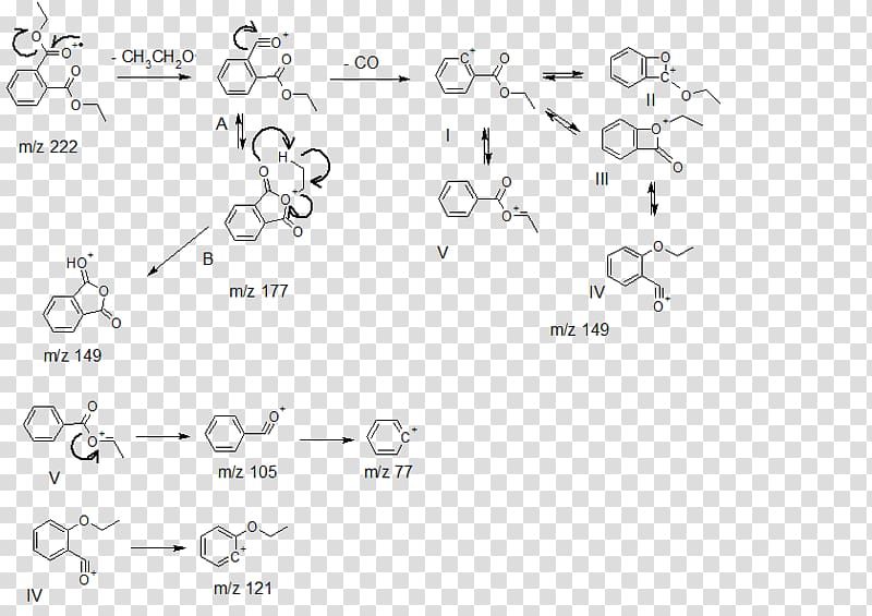 Chemistry Diethyl phthalate Fragmentation Ester, ester transparent background PNG clipart