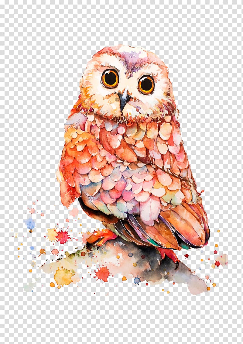 pink, orange, and white owl painting, Owl Cartoon Illustration, Hand-painted owl transparent background PNG clipart