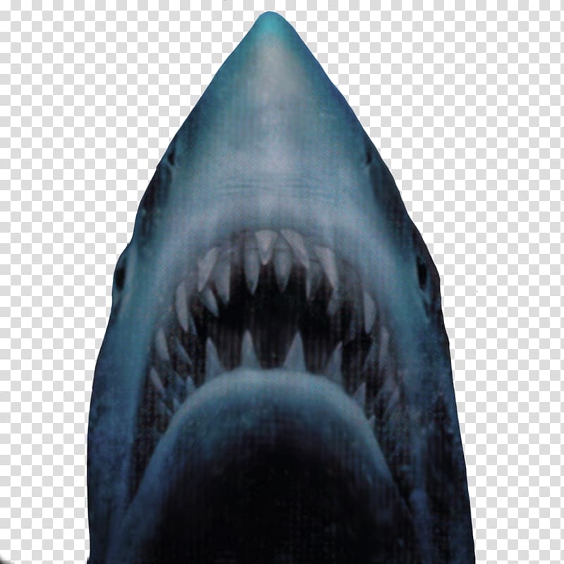 Jaws Unleashed Video game Xbox One, sharks transparent background PNG clipart
