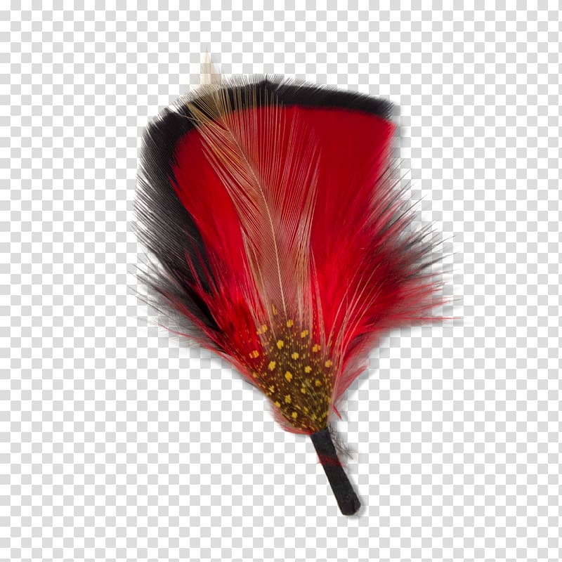 Feather Goorin Bros. Red Hat Black, feather transparent background PNG clipart