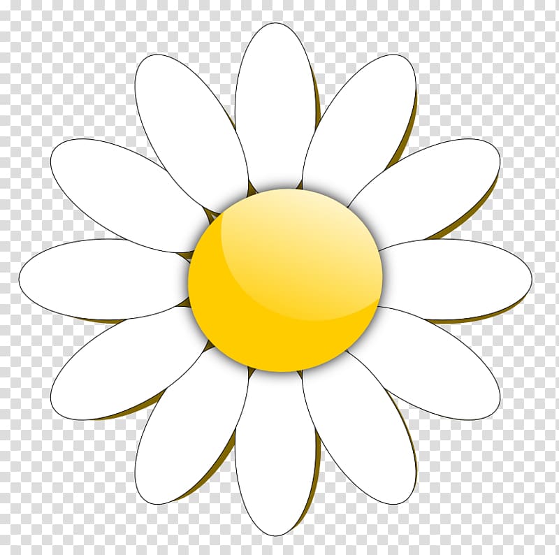 Free content Common daisy , Free Flower transparent background PNG clipart