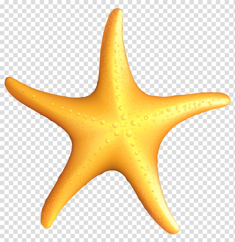 Starfish , Beach Starfish , brown starfish illustration transparent background PNG clipart