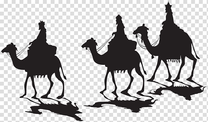 Dromedary Silhouette , Silhouette transparent background PNG clipart