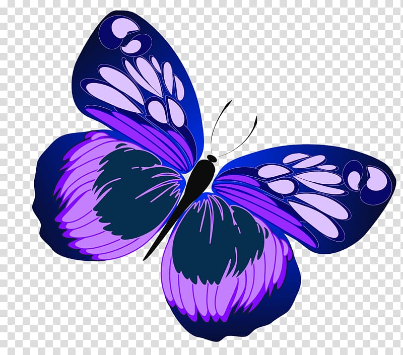 Butterfly Purple Free content , Purple Sunflower transparent background PNG clipart