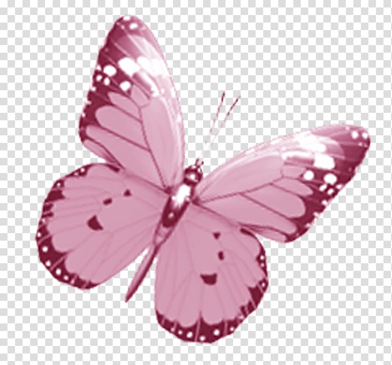 Butterfly Drawing Pink , watercolor butterfly transparent background PNG clipart