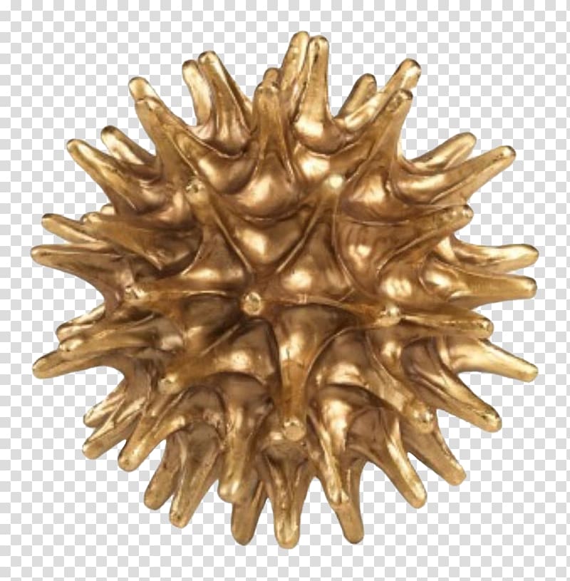Sea urchin Wayfair Sculpture Brass Statue, Brass transparent background PNG clipart