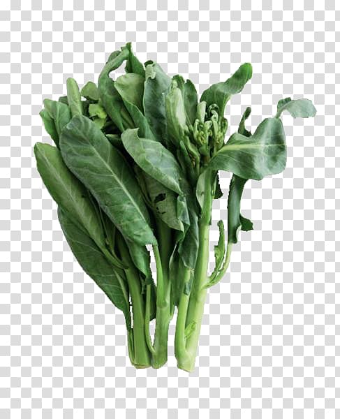 Chinese broccoli Romaine lettuce Vegetable Collard greens Spring greens, Green kale leaves transparent background PNG clipart