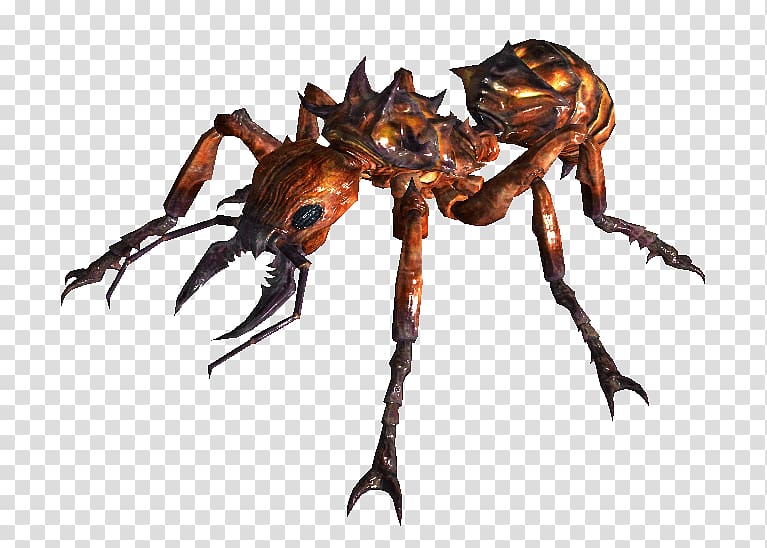 Fallout 3 Fallout 2 Red imported fire ant Insect, Giant Creatures Free transparent background PNG clipart