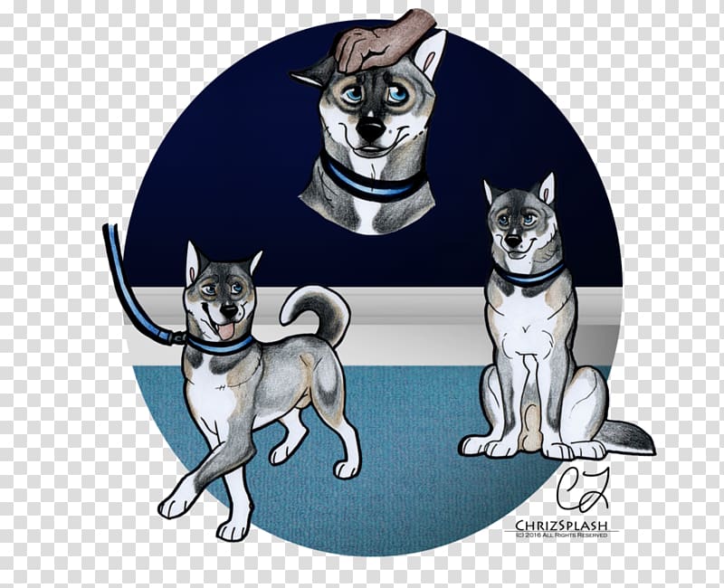 Dog breed Siberian Husky Cat Cartoon Illustration, art training course transparent background PNG clipart
