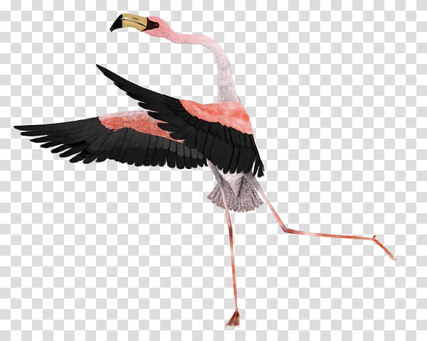 Portable Network Graphics White stork Surrealism Art, Flamingo animal transparent background PNG clipart